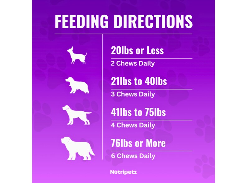 Dog Multivitamins, Pet Chewable Supplements, Supports Brain, Immune, Digestive Health & Skin Coat
