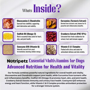 Dog Multivitamins, Pet Chewable Supplements, Supports Brain, Immune, Digestive Health & Skin Coat
