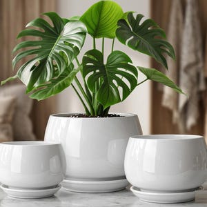 Modern White Ceramic Planter with Set 3 Saucer, Minimalist Round Glossy Plant Pot Set, Luxury Indoor Flower Pot, Aesthetic Home Decor Gift