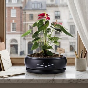 Luxury Black Cat Succulent Planter - 8 Inch Large Ceramic Cat Pot Cute Modern Matte Black Bonsai Pot Minimalist Animal Shaped Flower Pot