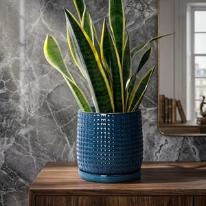 Textured Ceramic Planter | Nordic Ribbed Indoor Pot, Obsidian Black Glaze