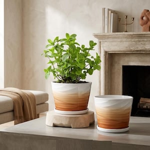 Ceramic Planter with Drainage Hole and Saucer 2Pack Planters for Indoor Plants Luxury Indoor Flower Pot, Aesthetic Home Decor Gift