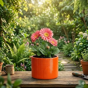May include: A vibrant orange ceramic pot with a textured design holds a blooming gerbera daisy plant. The pink flowers with yellow centers are in full bloom, surrounded by green leaves. The pot sits on a wooden table in a garden setting.
