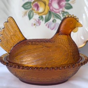 Indiana Amber Hen on Nest “Survivor Edition” (see notes)