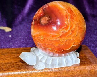Può includere: Una sfera di agata arancione e rossa lucidata, appoggiata su un supporto bianco a forma di tartaruga. La sfera presenta motivi a spirale e una superficie liscia. Il supporto è su una base di legno, con sfondo viola.