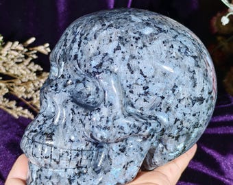 Può includere: Una scultura a forma di teschio dettagliata, blu e nera maculata. Il teschio è scolpito in pietra e presenta dettagli realistici. La scultura è tenuta in una mano, con uno sfondo viola. Oggetto decorativo.