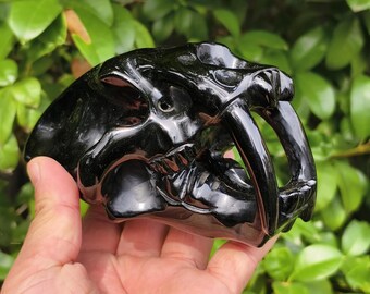 Può includere: Una scultura in ossidiana nera lucida a forma di teschio di tigre dai denti a sciabola. L'oggetto presenta una superficie liscia e riflettente con dettagli anatomici definiti, tra cui prominenti zanne ricurve e orbite oculari.
