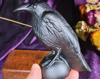 Può includere: Una statuetta di corvo nero opaco appollaiata su una base liscia e arrotondata. L'uccello è raffigurato di profilo, mostrando dettagliate texture delle piume, un becco affilato e un occhio definito. La scultura ha una finitura scura e uniforme.