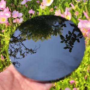 May include: A round, dark reflective surface held in a hand, reflecting a blue sky and tree branches. The background features pink flowers and green foliage, creating a natural, outdoor scene.