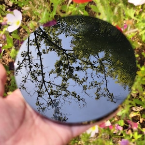 May include: A round, reflective surface held in a hand, reflecting a blue sky and tree branches. The surrounding area features green grass and colorful flowers, creating a natural, outdoor scene.