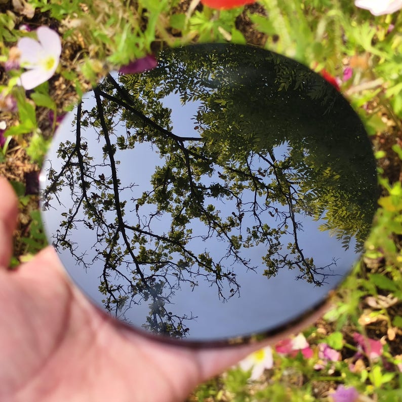 May include: A round, reflective surface held in a hand, reflecting a blue sky and tree branches. The surrounding area features green grass and colorful flowers, creating a natural, outdoor scene.
