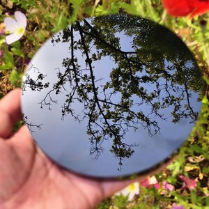 May include: A round, reflective surface held in a hand, reflecting a blue sky and tree branches. The edges of the circle are slightly blurred, with green grass and flowers in the background. The surface appears to be a mirror or a polished metal.