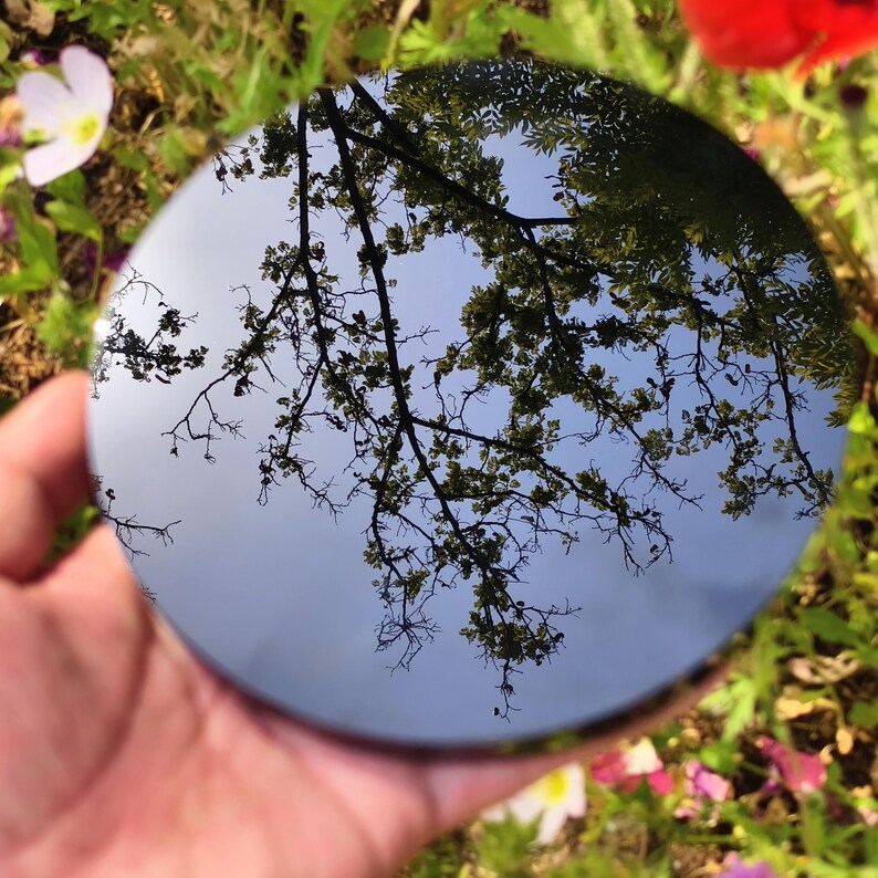 May include: A round, reflective surface held in a hand, reflecting a blue sky and tree branches. The edges of the circle are slightly blurred, with green grass and flowers in the background. The surface appears to be a mirror or a polished metal.
