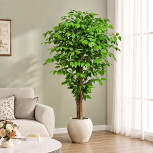 May include: A tall artificial tree with vibrant green leaves and a textured brown trunk. The tree is planted in a large, off-white, round pot. The tree is placed in a well-lit room with a sofa and a round coffee table.