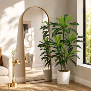 May include: A tall, arched floor mirror with a thin gold frame. The mirror reflects a room interior, including a chair and a framed picture. Beside the mirror stands a tall green plant with long, pointed leaves in a white, textured cylindrical pot.