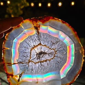 Op de afbeelding: Een doorschijnende, cirkelvormige agaatplak met concentrische kleurbanden. De buitenrand is diep roodoranje en gaat over in een levendig, iriserend regenbogenspectrum, rondom een gestructureerd, kristallijn, lichtgrijs centrum.