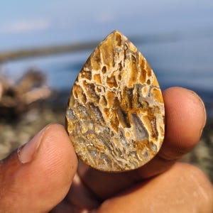 Può includere: Una pietra preziosa lucidata a forma di goccia con un motivo complesso dall'aspetto poroso nei toni del giallo dorato, marrone chiaro e marrone scuro, con piccole inclusioni cristalline visibili in tutta l'intricata trama superficiale.