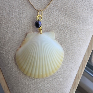 May include: A seashell pendant necklace with a gold-colored chain. The pendant features a large, cream-colored scallop shell with a dark blue bead and gold wire accents. The shell has a natural, textured appearance.