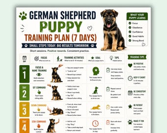 Plan de entrenamiento para cachorros de pastor alemán (PDF imprimible), programa de entrenamiento de 7 días, tabla de entrenamiento para cachorros de pastor alemán, guía para nuevos dueños de perros, entrenamiento canino.