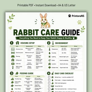 May include: A printable Rabbit Care Guide featuring a central illustration of a brown and white rabbit wearing a green bandana. The document includes sections for Housing Setup, Environment, Feeding Guide, and a Daily Care Checklist with icons.