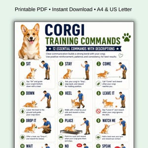 Op de afbeelding: Printable PDF poster met corgi-trainingscommando's. Toont een lachende corgi en instructies voor 12 essentiële commando's. Bevat illustraties en tekst voor elk commando, zoals 'Zit', 'Blijf' en 'Kom'. Ideaal voor hondenbezitters.
