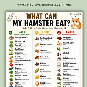 Può includere: Grafico informativo intitolato "Cosa può mangiare il mio criceto?" che elenca alimenti sicuri, limitati e non sicuri per i criceti. Include illustrazioni di vari alimenti come pellet per criceti, broccoli e semi di girasole. Testo: "PDF stampabile" e "Download immediato."