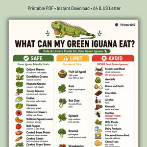 Vad kan min gröna leguan äta? Utskrivbar PDF, säker och osäker mattabell för gröna leguaner, kostguide för gröna leguaner, matlista för gröna leguaner, ny leguan