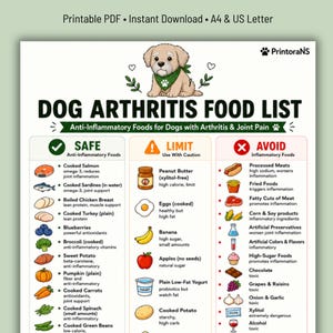 Könnte beinhalten: Ein druckbares PDF mit dem Titel "DOG ARTHRITIS FOOD LIST" mit einer Cartoon-Hunde-Illustration. Die Liste kategorisiert Lebensmittel als "SAFE", "LIMIT" und "AVOID" für Hunde mit Arthritis. Enthält Illustrationen verschiedener Lebensmittel wie Lachs, Blaubeeren und Erdnussbutter.