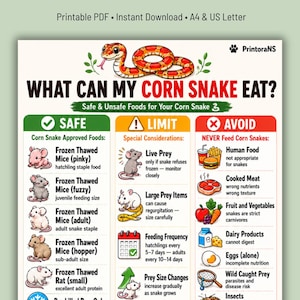 What Can My Corn Snake Eat Printable PDF, Safe Unsafe Corn Snake Food Chart, Corn Snake Feeding Guide, Corn Snake Food List