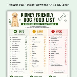 Pode incluir: Lista de alimentos para cães amigos dos rins em PDF imprimível, com uma ilustração de golden retriever. O guia categoriza os alimentos como seguros, limitados ou a evitar. Inclui tamanhos A4 e US Letter.