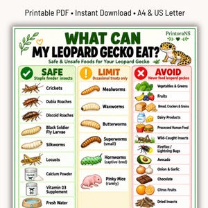 Vad kan min leopardgecko äta (utskrivbar PDF), mattabell för leopardgecko, matningsguide för gecko, present till leopardgeckoägare, utskrivbar geckovård