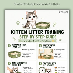 Op de afbeelding: Een afdrukbare PDF-gids voor kattenbak training. De gids toont een cartoon kitten en een kattenbak, met stapsgewijze instructies. De tekst bevat "Kitten Litter Training Step by Step Guide" en "How to Litter Train Your New Kitten".