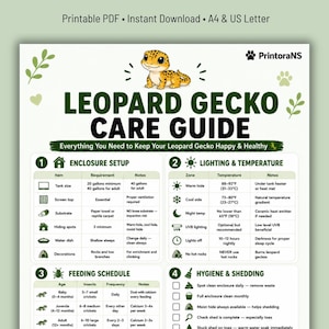 Op de afbeelding: Een digitale infografiek als verzorgingsgids voor luipaardgekko's met een illustratie van een gekko bovenaan. Het document bevat secties voor verblijfinrichting, verlichting, temperatuur, voedingsschema en hygiëne met tabellen.