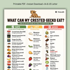 Puede incluir: Una infografía educativa titulada WHAT CAN MY CRESTED GECKO EAT? con una ilustración de un gecko marrón. Enumera categorías de alimentos seguros, limitados y a evitar con iconos para artículos como mango, gusanos de cera, aguacate y chocolate.