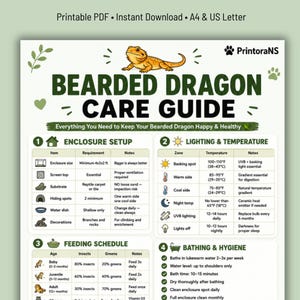 May include: A printable Bearded Dragon Care Guide featuring an illustration of a bearded dragon at the top. The document includes sections for enclosure setup, lighting and temperature, feeding schedule, and bathing and hygiene with text.