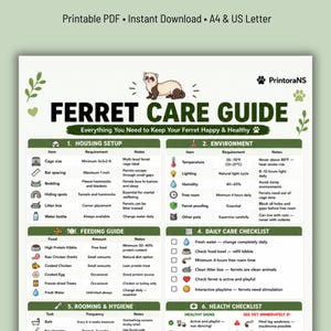 Op de afbeelding: Een printbare Frettenverzorgingsgids met een centrale illustratie van een fret. De kaart bevat secties voor huisvesting, omgeving, voeding, dagelijkse verzorging, hygiëne en gezondheid, met tekst die de vereisten en opmerkingen voor verzorging beschrijft.