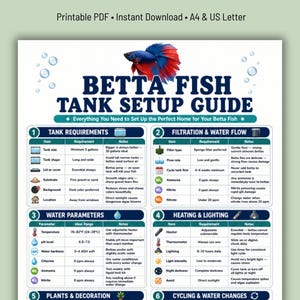May include: A printable Betta Fish Tank Setup Guide featuring a blue and red betta fish illustration. The document includes four numbered sections detailing tank requirements, filtration, water parameters, and heating and lighting for fish care.