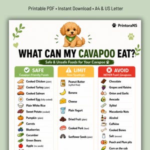 May include: A printable PDF chart titled What Can My Cavapoo Eat? featuring a cartoon puppy illustration. The document is organized into three color-coded columns: Safe with green checkmarks, Limit with yellow warning signs, and Avoid with red X marks.