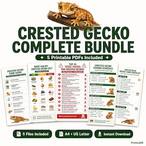 Puede incluir: Un paquete digital de cinco archivos PDF imprimibles titulado Crested Gecko Complete Bundle, que incluye una guía de cuidados, calendario de alimentación, lista de tareas semanal y los 10 alimentos tóxicos para geckos crestados.
