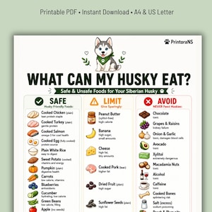 Puede incluir: Un gráfico PDF imprimible titulado "¿Qué puede comer mi Husky?" enumera alimentos seguros, limitados y peligrosos para los Huskies siberianos. El gráfico incluye ilustraciones de varios alimentos, como pollo cocido, salmón y arándanos, con un husky de dibujos animados en la parte superior.