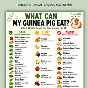 May include: A printable PDF chart titled "What Can My Guinea Pig Eat?" details safe, limited, and unsafe foods for guinea pigs. The chart features illustrations of various fruits, vegetables, and other food items, with a guinea pig graphic in the top right corner.