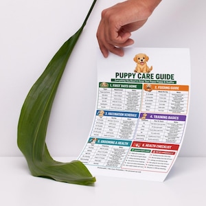 May include: A white paper Puppy Care Guide featuring a cartoon puppy illustration and six sections: First Days Home, Feeding Guide, Vaccination Schedule, Training Basics, Grooming & Health, and Health Checklist, with text detailing puppy care.