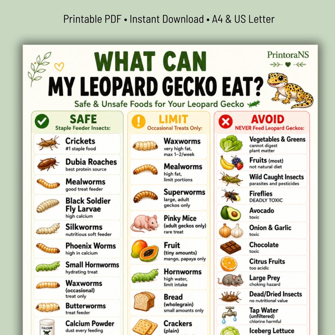 What Can My Leopard Gecko Eat Printable PDF, Leopard Gecko Food Chart ...