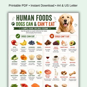 Puede incluir: Una guía en PDF imprimible titulada "Alimentos humanos que los perros pueden y no pueden comer" con un golden retriever sonriente. La guía enumera los alimentos para perros. Disponible en descarga instantánea, tamaños A4 y US Letter.