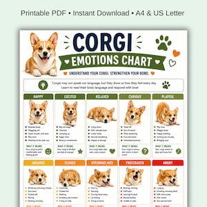 Può includere: Un grafico PDF stampabile intitolato "Corgi Emotions Chart" in verde, giallo e bianco. Il grafico illustra varie emozioni di corgi con le corrispondenti descrizioni del linguaggio del corpo. Include il testo "Comprendi il tuo Corgi. Rafforza il tuo legame."