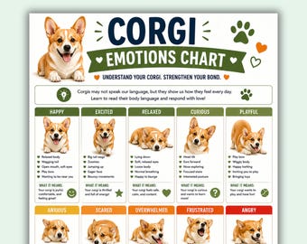 Corgi Emotions Chart Printable PDF, Welsh Corgi Body Language Guide, Corgi Behavior Chart, Dog Emotions Poster, Corgi Communication A4 US
