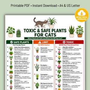 Könnte beinhalten: Ein druckbares Informationsblatt mit dem Titel Toxic & Safe Plants for Cats, das eine braune getigerte Katze zeigt. Das Dokument ist in drei farbcodierte Spalten unterteilt: Grün für sichere Pflanzen, Orange für Pflanzen mit Vorsicht und Rot für giftige.
