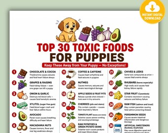 May include: A digital educational chart titled TOP 30 TOXIC FOODS FOR PUPPIES featuring a cartoon puppy illustration and a numbered list of items including chocolate, grapes, onions, avocado, coffee, and various other hazardous substances.