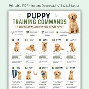 Op de afbeelding: Een afdrukbare PDF-poster getiteld "Puppy Training Commands" met 10 essentiële commando's voor een goed opgevoede puppy. De poster bevat illustraties van golden retriever puppy's die commando's demonstreren zoals "Zit", "Blijf" en "Kom".