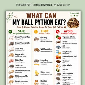 What Can My Ball Python Eat Printable, Ball Python Feeding Guide, Safe Unsafe Ball Python Food Chart, Snake Feeding Chart,Ball Python Owner
